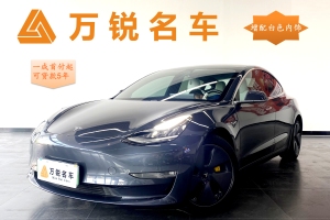 Model 3 特斯拉 标准续航后驱升级版