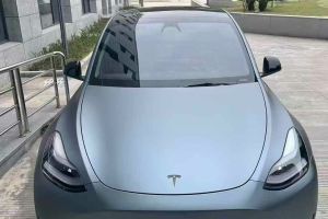 Model Y 特斯拉 Performance高性能全輪驅(qū)動(dòng)版