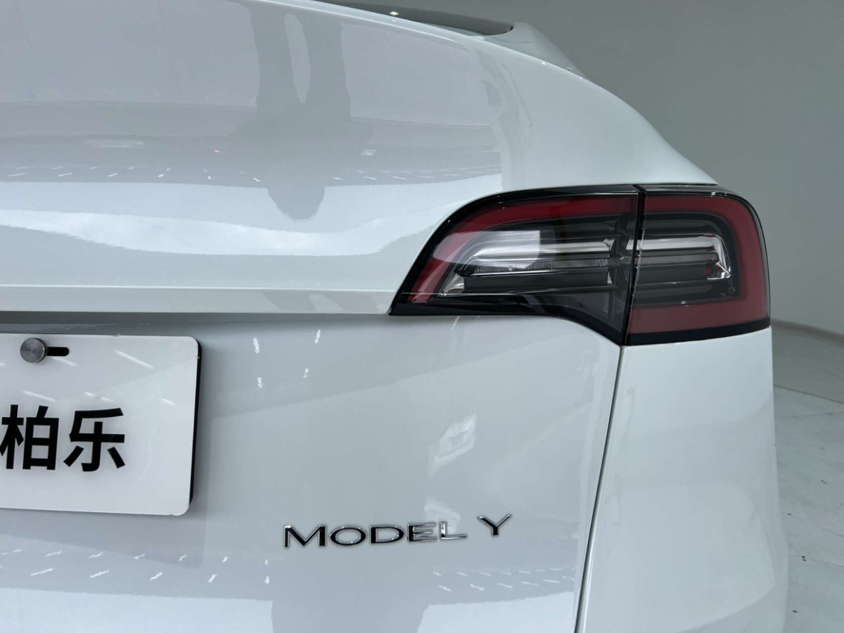 特斯拉 Model 3  2021款 標準續(xù)航后驅版圖片