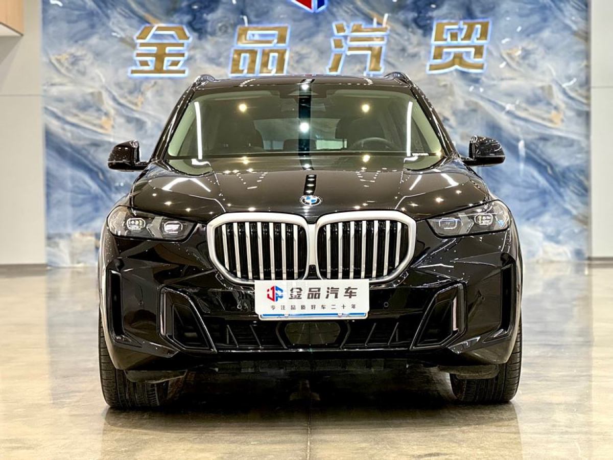 寶馬 寶馬X5  2023款 xDrive 30Li 尊享型M運(yùn)動(dòng)曜夜套裝圖片