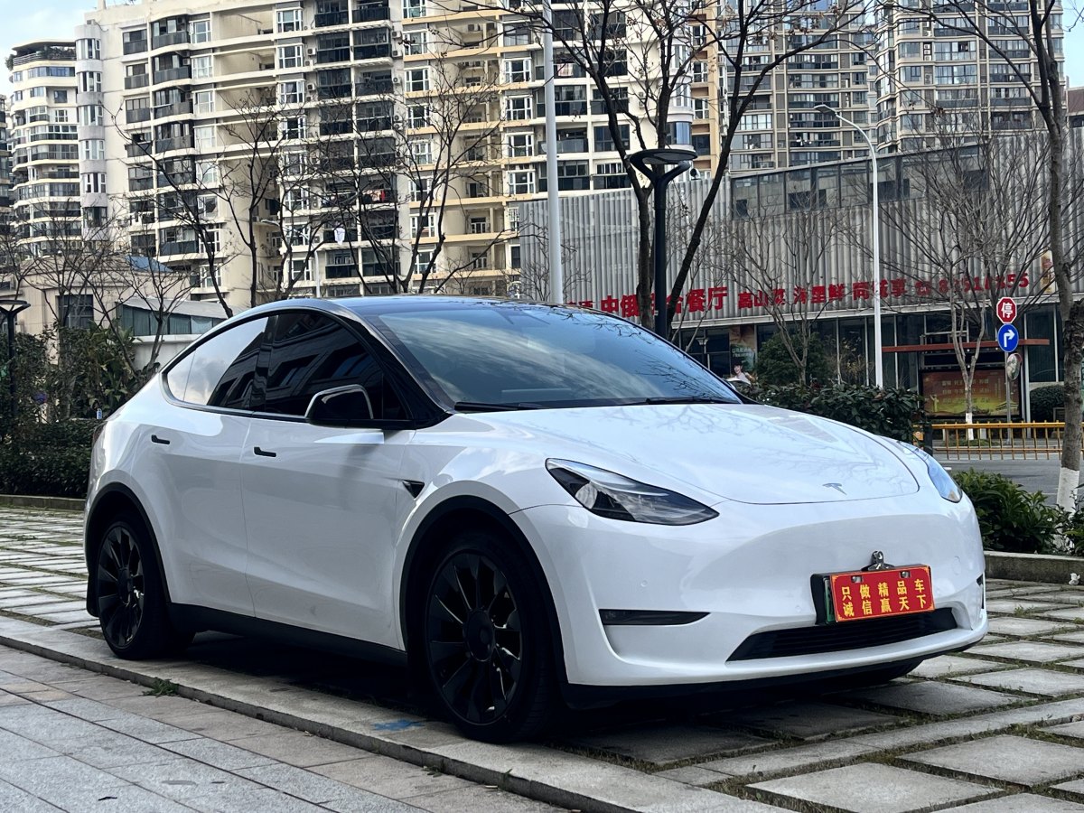 特斯拉 Model Y  2021款 長續(xù)航全輪驅(qū)動版 3D7圖片