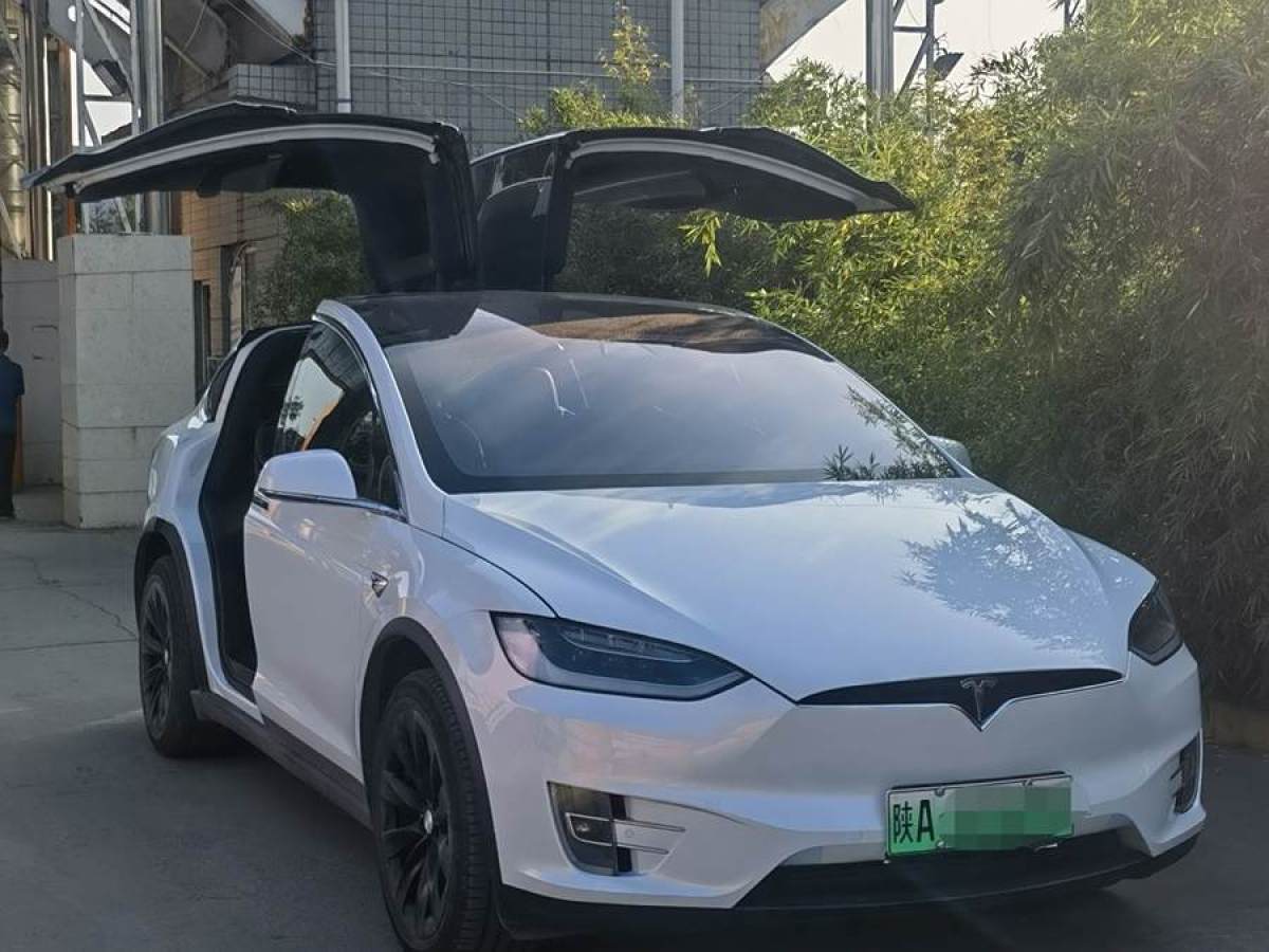 2018年6月特斯拉 Model X  2017款 Model X 100D 長續(xù)航版