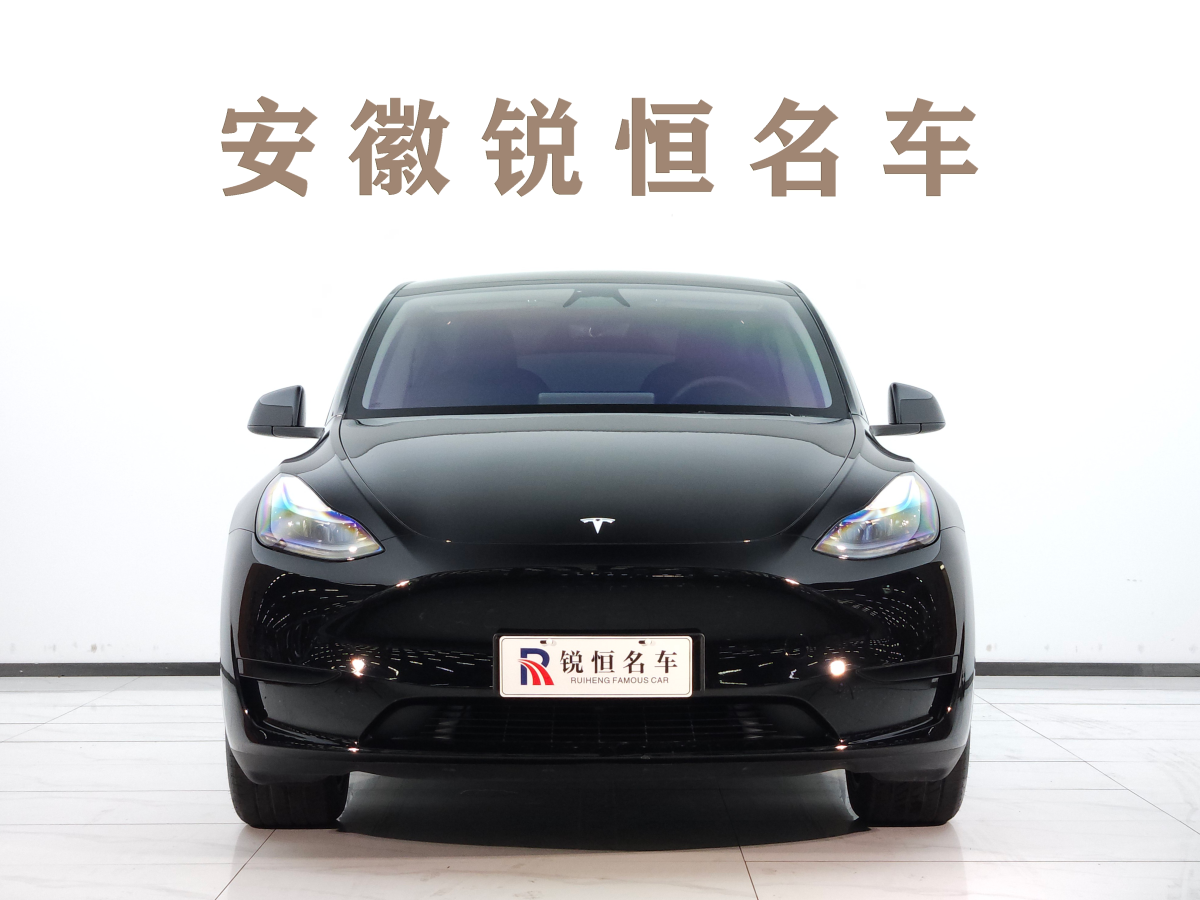 2024年3月特斯拉 Model Y  2020款 改款 長續(xù)航后輪驅(qū)動版