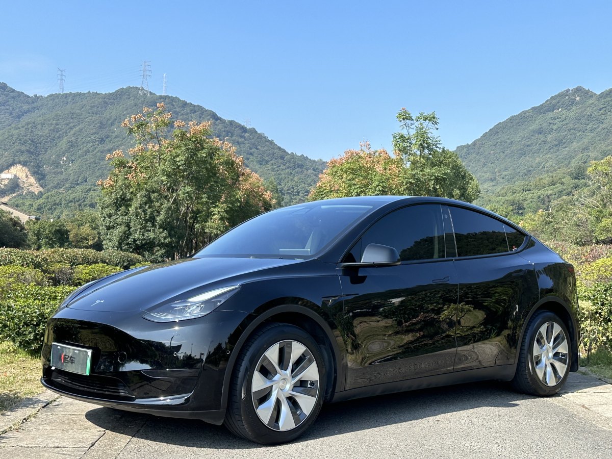 特斯拉 Model Y  2022款 后輪驅(qū)動版圖片