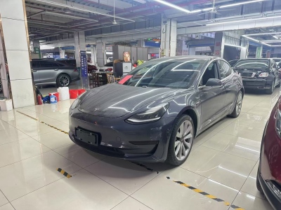 2020年1月 特斯拉 Model 3 標(biāo)準(zhǔn)續(xù)航后驅(qū)升級(jí)版圖片