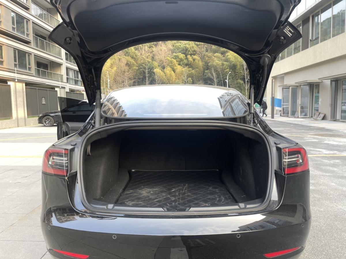 特斯拉 Model 3  2019款 標(biāo)準(zhǔn)續(xù)航后驅(qū)升級(jí)版圖片