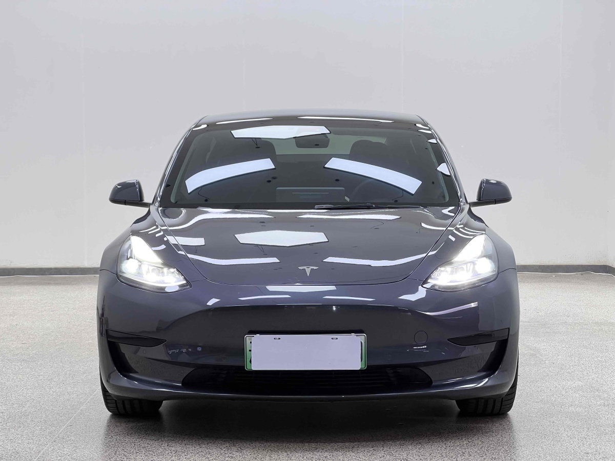 特斯拉 Model 3  2021款 標(biāo)準(zhǔn)續(xù)航后驅(qū)升級版 3D6圖片