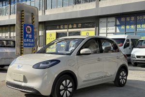 五菱繽果 五菱 333km 悅享款