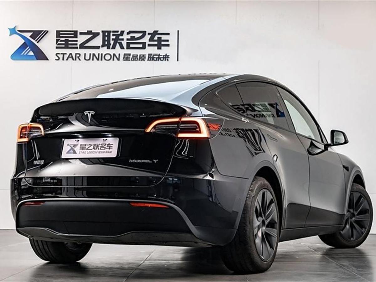 特斯拉 Model 3  2020款 改款 長續(xù)航后輪驅動版圖片