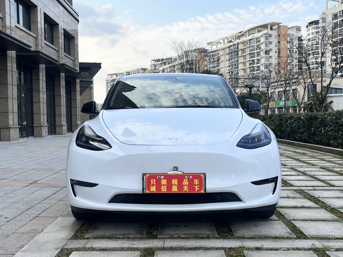 特斯拉 Model Y  2021款 長續(xù)航全輪驅(qū)動版 3D7圖片