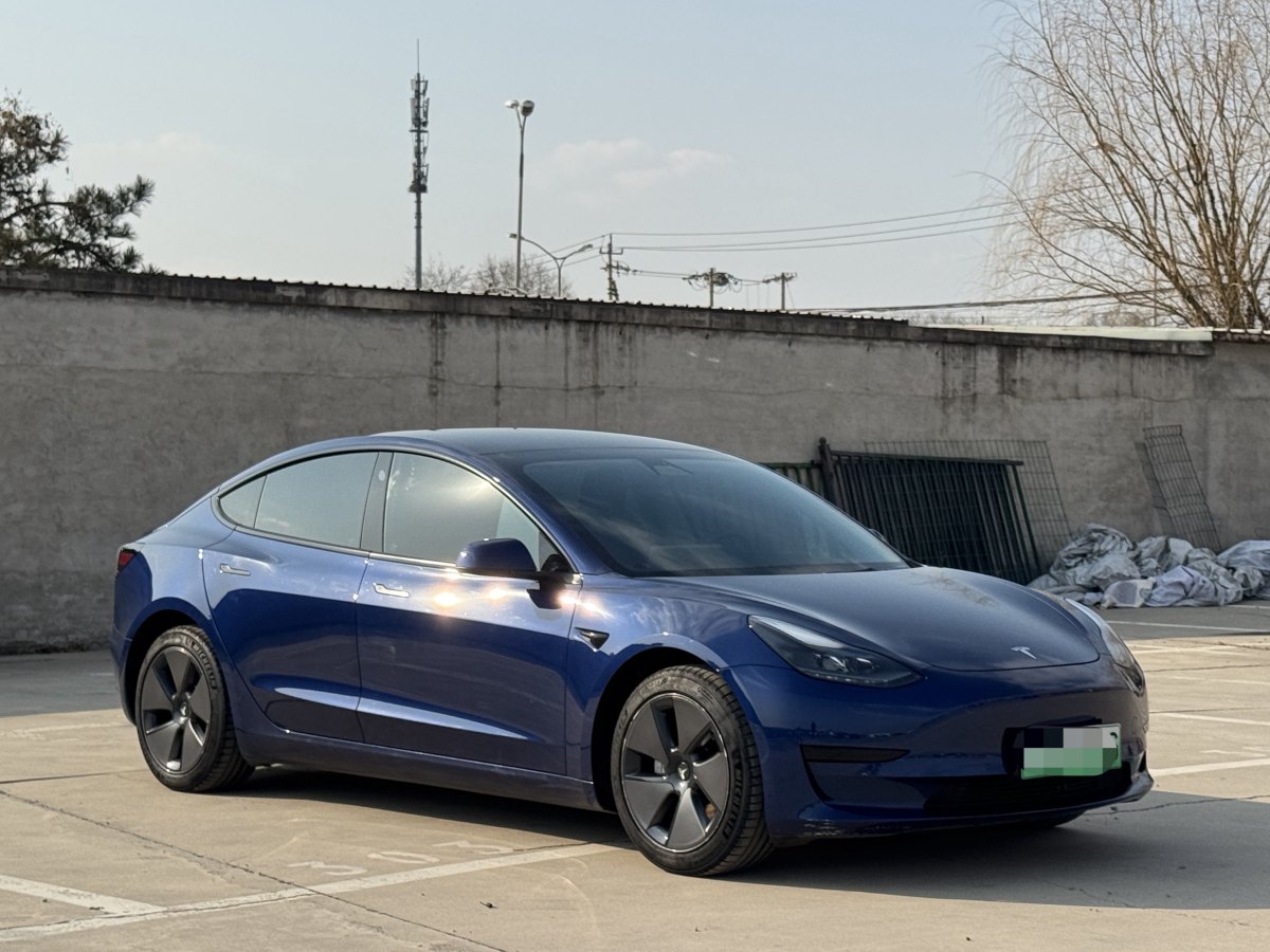 特斯拉 Model 3  2019款 標(biāo)準(zhǔn)續(xù)航后驅(qū)升級(jí)版圖片