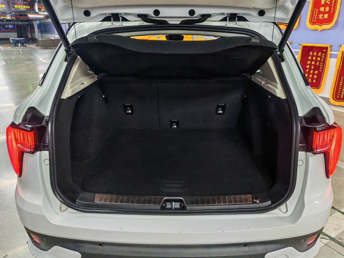 領(lǐng)克 領(lǐng)克01新能源  2018款 1.5T PHEV 勁Pro圖片