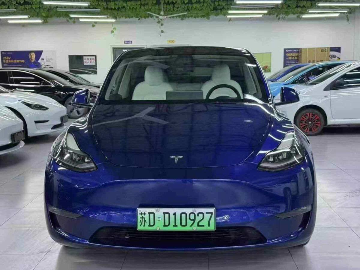 特斯拉 Model 3  2022款 Performance高性能全輪驅(qū)動(dòng)版圖片