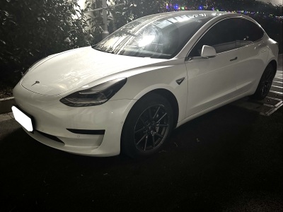  特斯拉 Model 3 2019款 標(biāo)準(zhǔn)續(xù)航后驅(qū)升級(jí)版 圖片