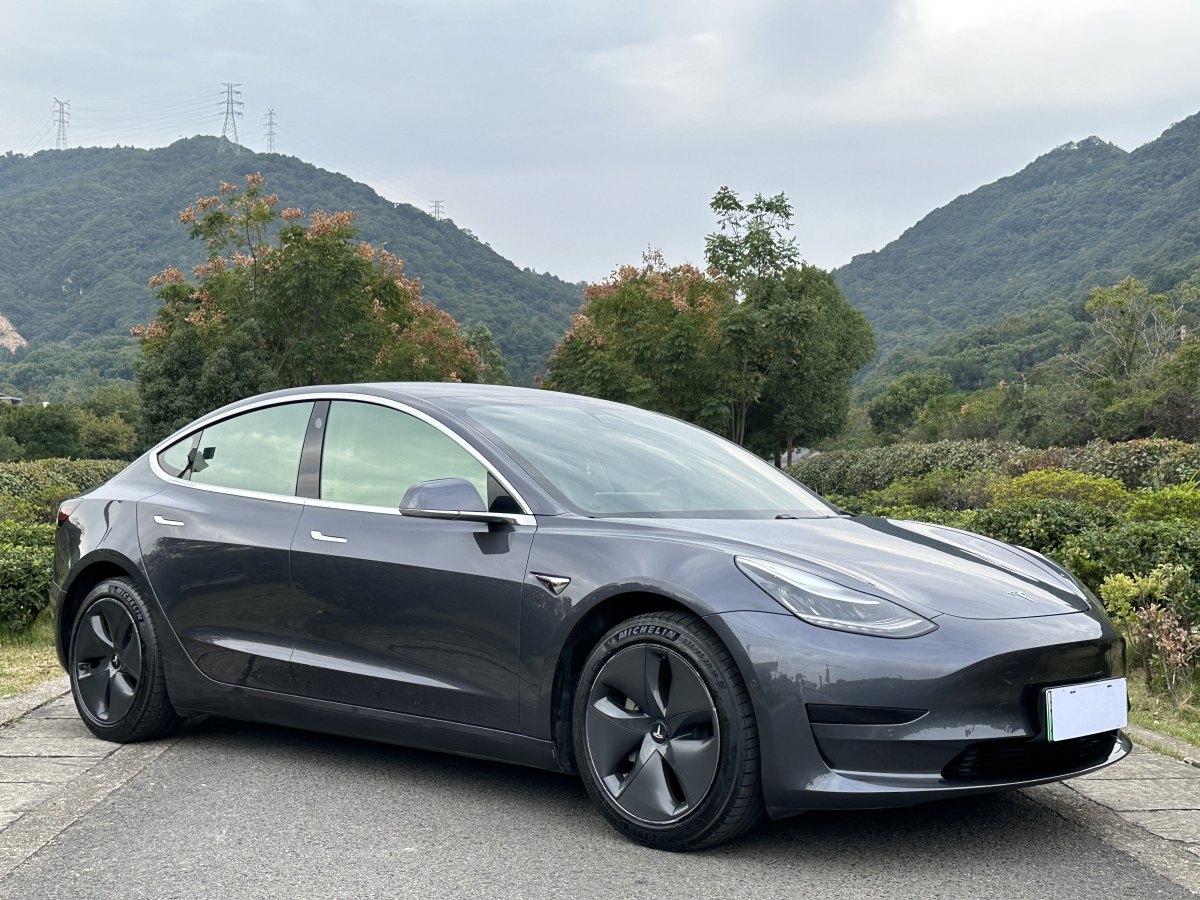 特斯拉 Model 3  2019款 標準續(xù)航后驅(qū)升級版圖片