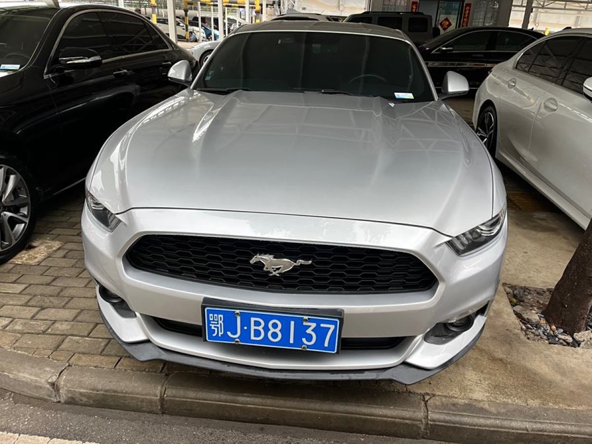 福特 Mustang  2015款 2.3T 50周年紀念版圖片