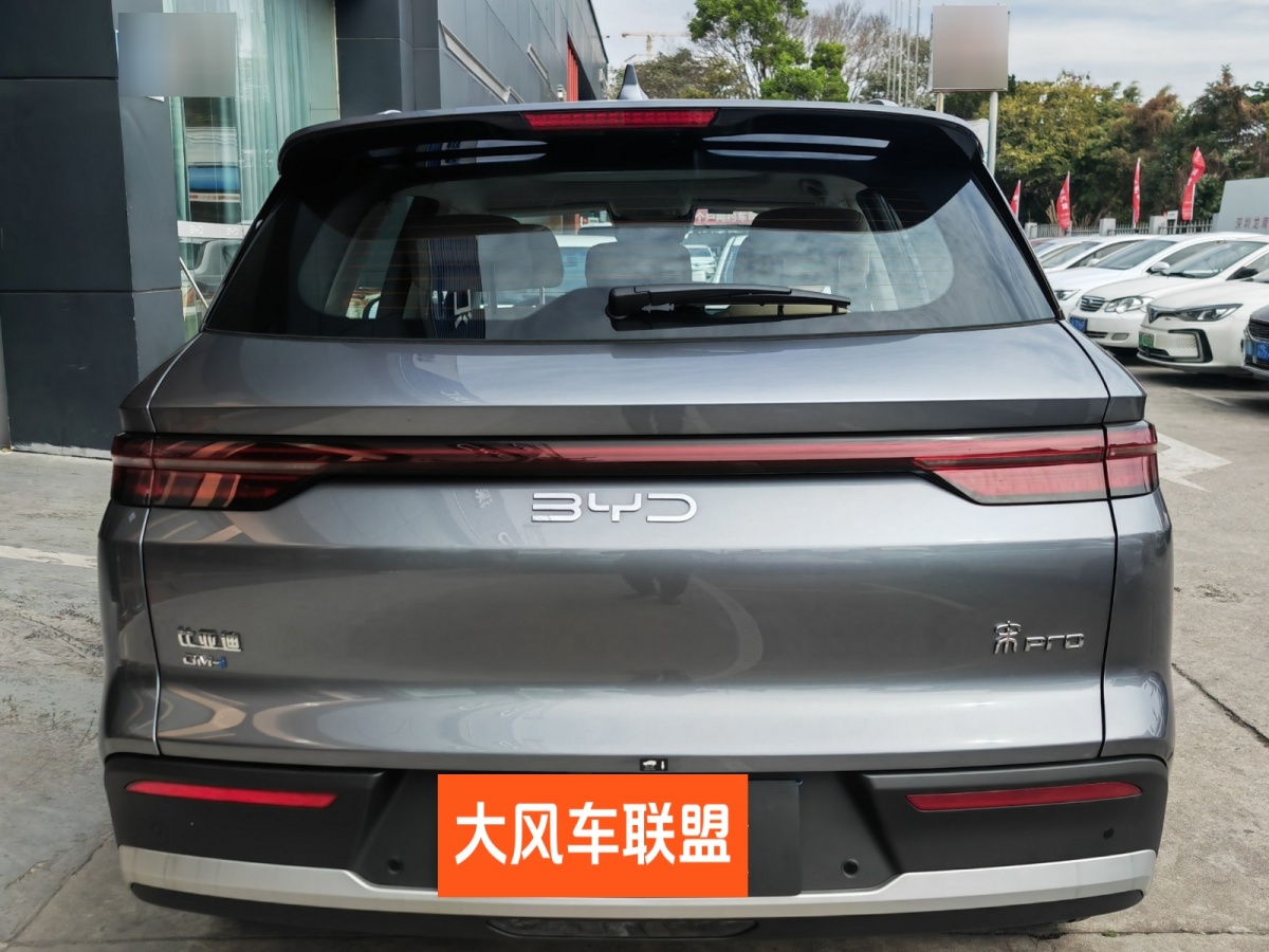 比亞迪 宋Pro新能源  2025款 DM-i 115KM卓越型圖片