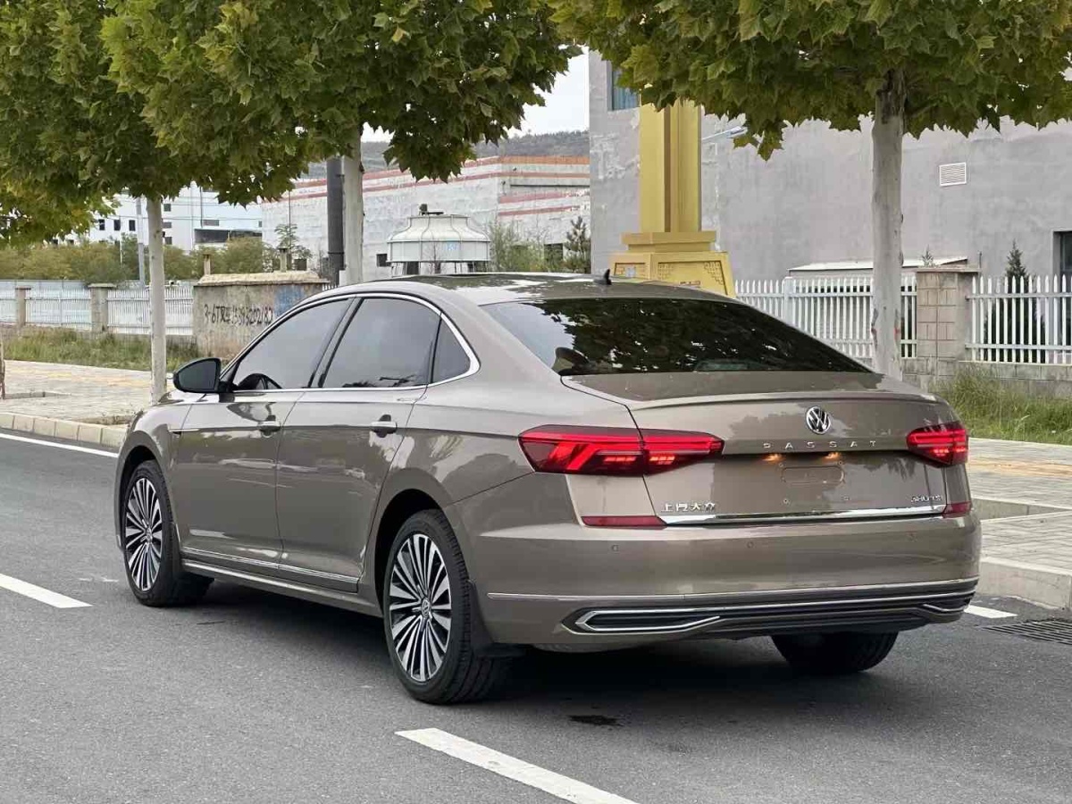 大眾 帕薩特  2019款 380TSI 尊貴版圖片