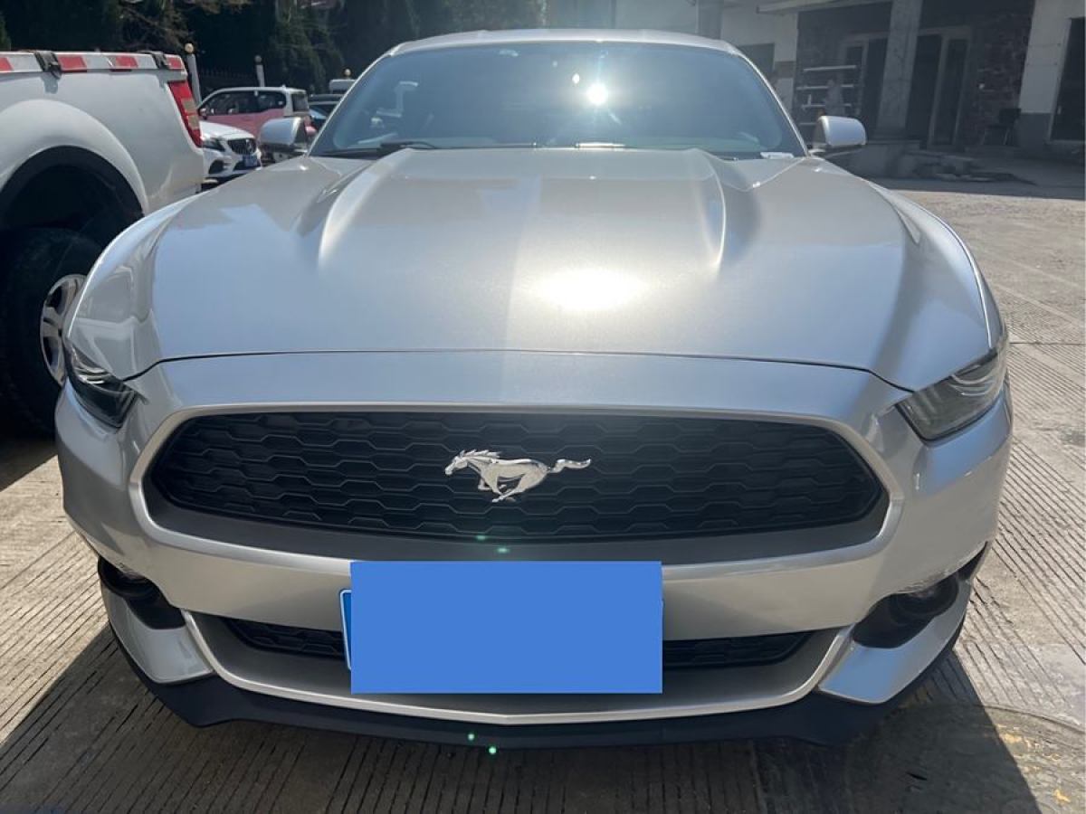 福特 Mustang  2015款 2.3T 性能版圖片