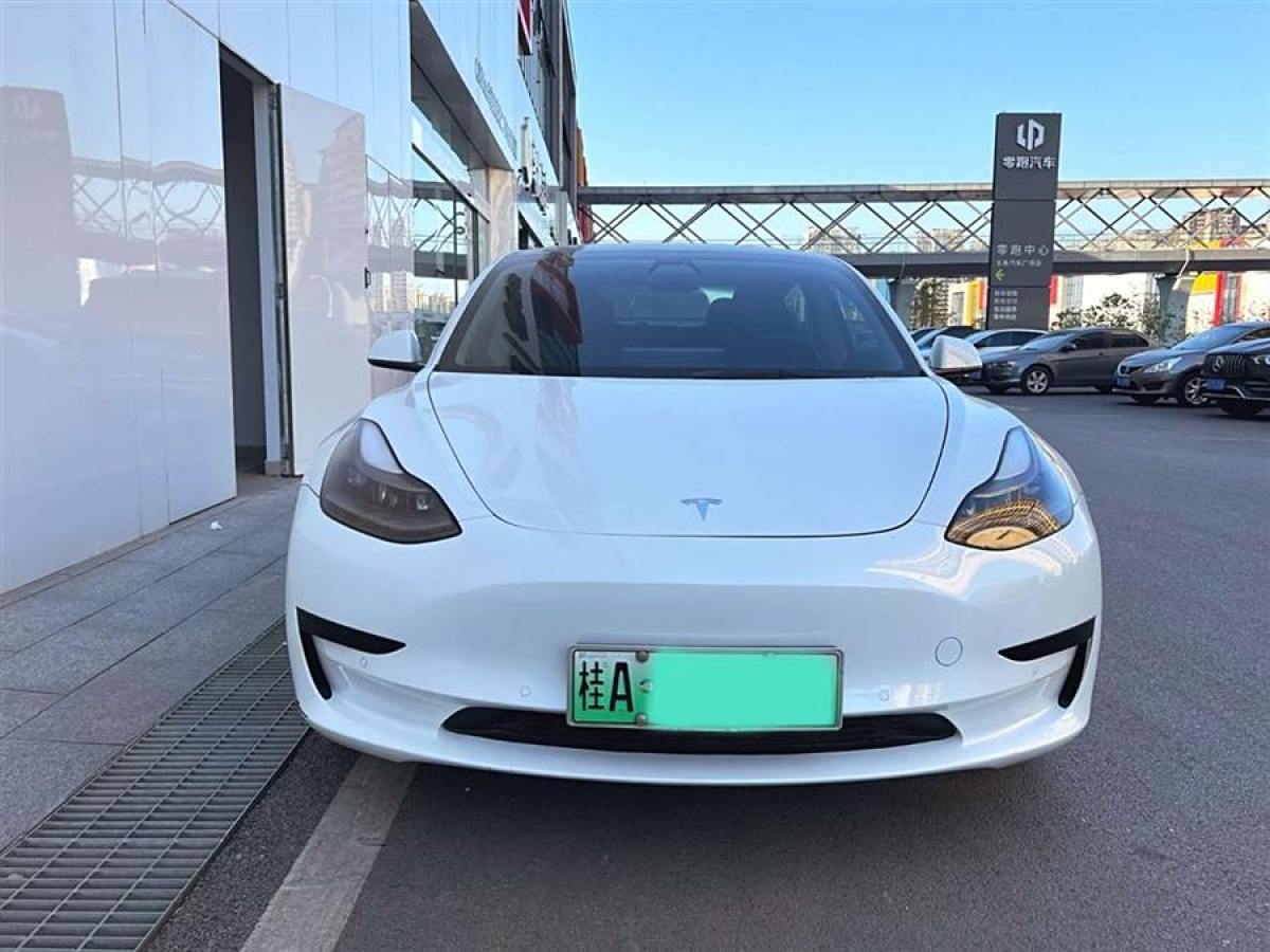 特斯拉 Model 3  2021款 標(biāo)準(zhǔn)續(xù)航后驅(qū)升級(jí)版 3D6圖片