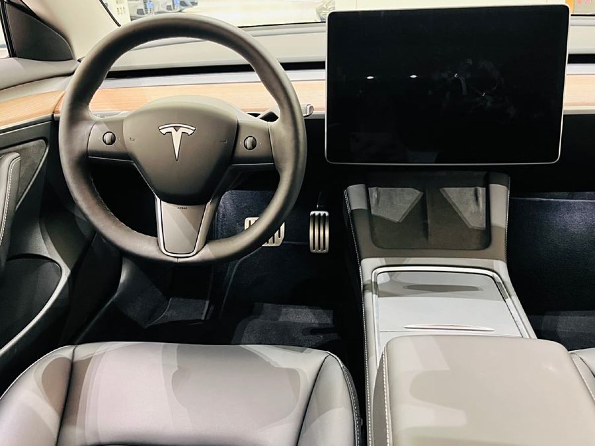 特斯拉 Model 3  2022款 Performance高性能全轮驱动版图片