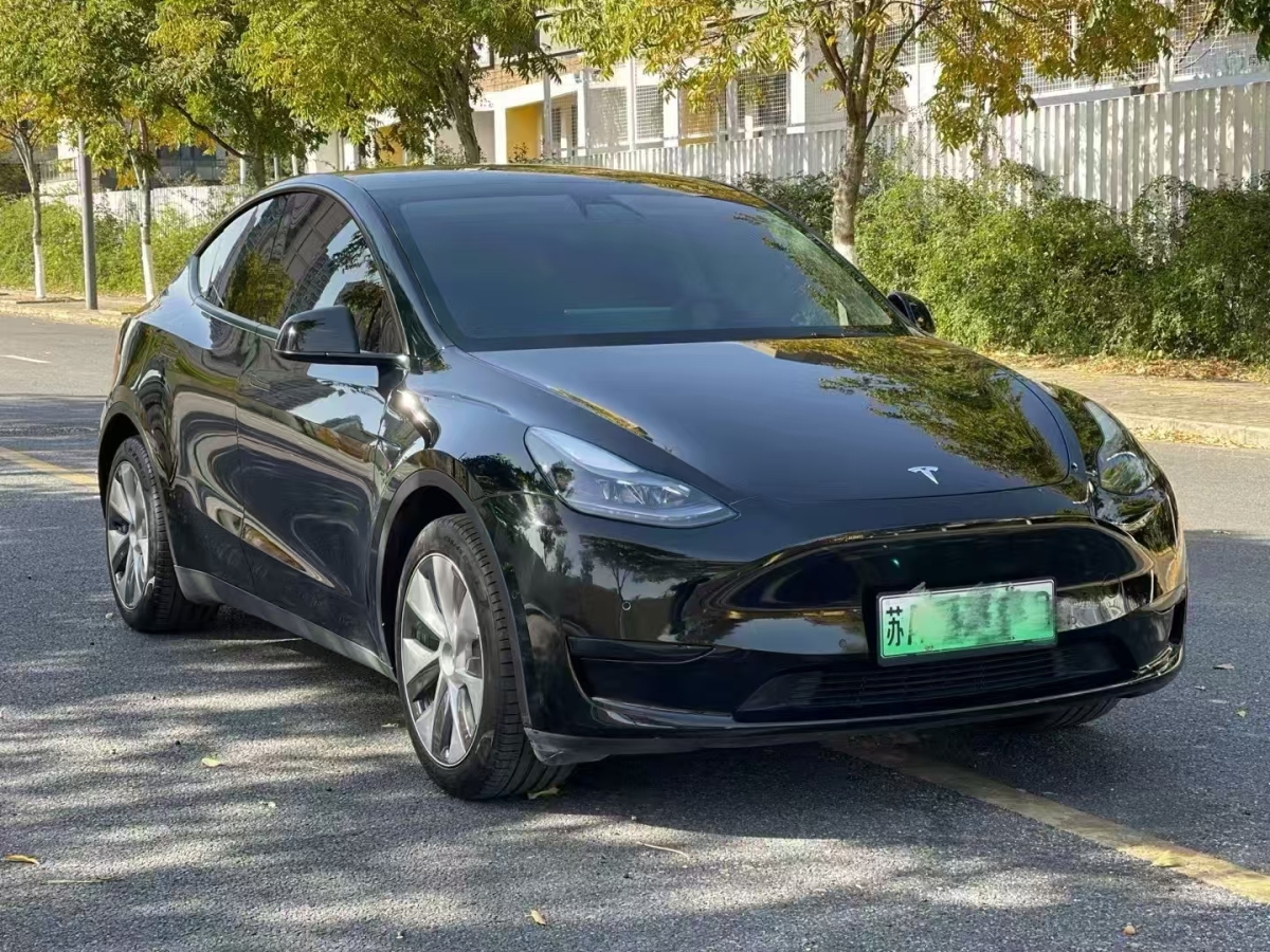 特斯拉 Model 3  2020款 改款 長續(xù)航后輪驅(qū)動版圖片