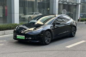 Model Y 特斯拉 标准续航后驱升级版 3D6