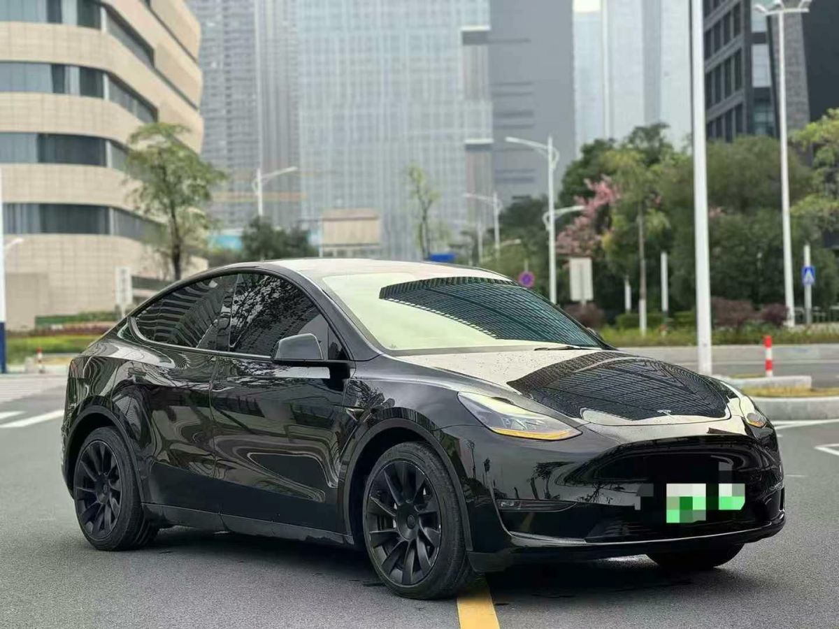 特斯拉 Model Y  2021款 標(biāo)準(zhǔn)續(xù)航后驅(qū)版圖片