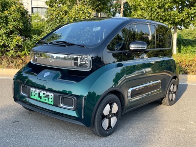 2023年6月 宝骏 宝骏KiWi EV 智潮版 三元锂图片