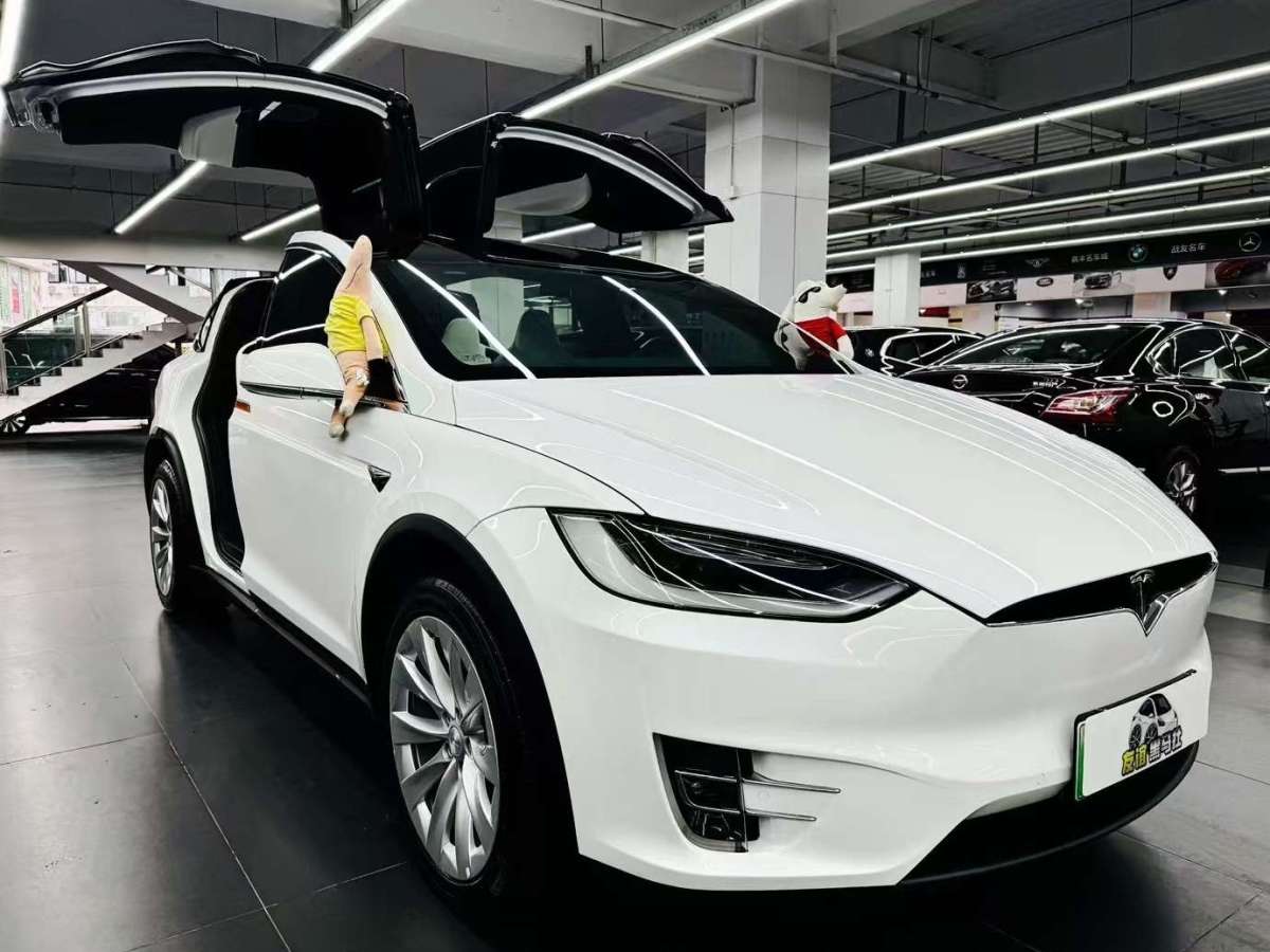 特斯拉 Model X  2017款 Model X 100D 長續(xù)航版圖片