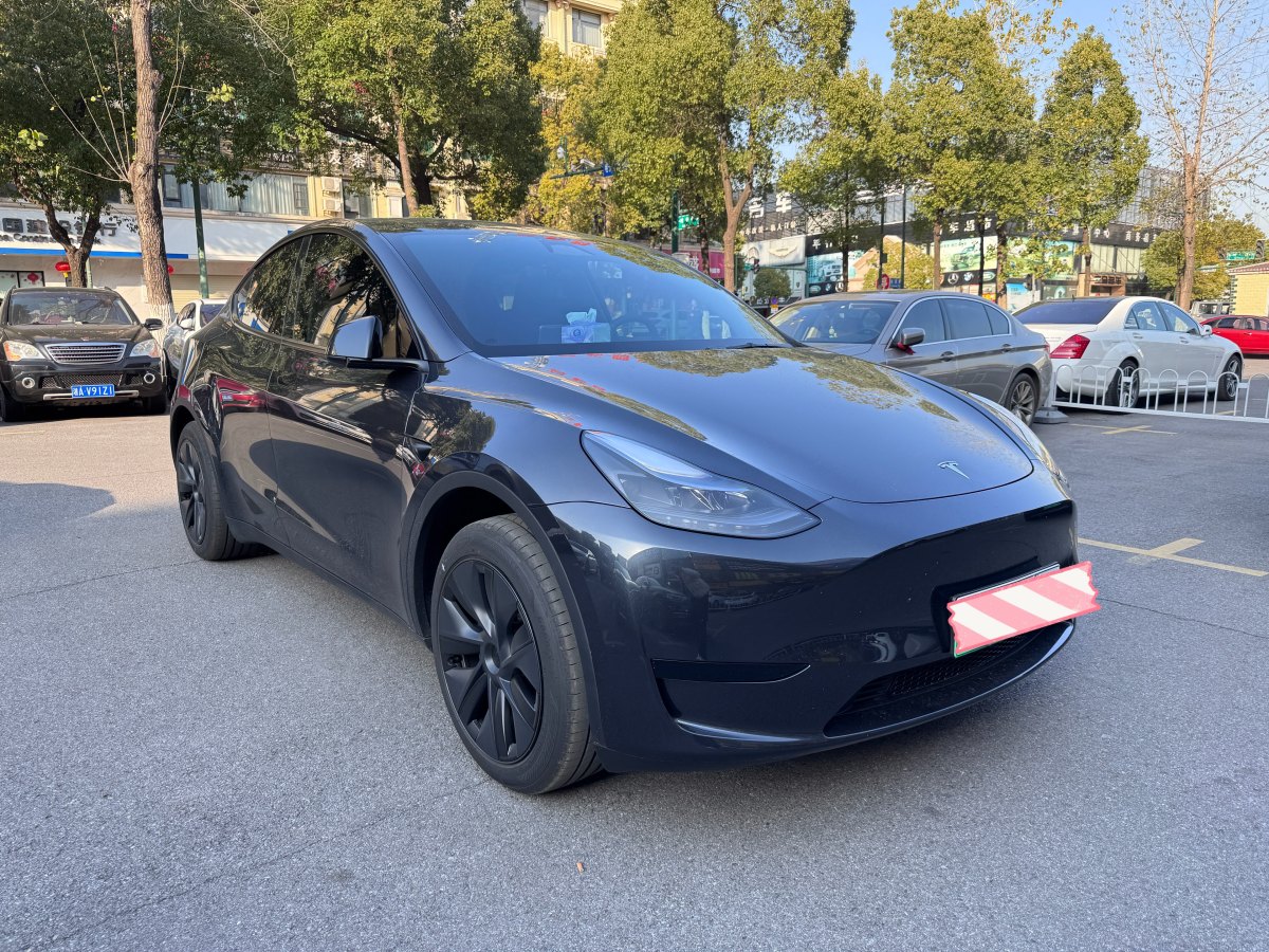 特斯拉 Model 3  2020款 改款 長(zhǎng)續(xù)航后輪驅(qū)動(dòng)版圖片