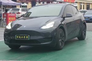 Model Y 特斯拉 Performance高性能版