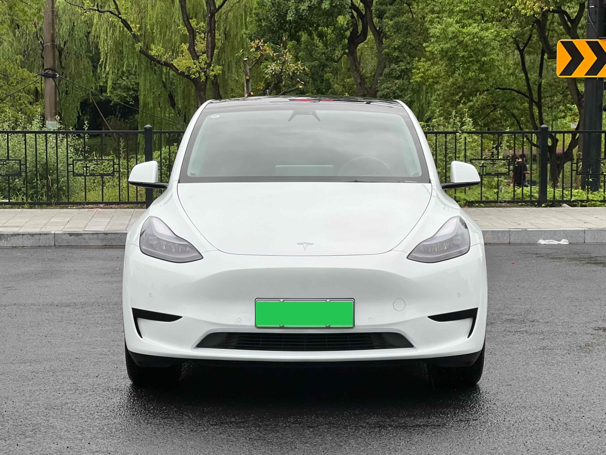 特斯拉 Model Y  2020款 改款 长续航后轮驱动版图片