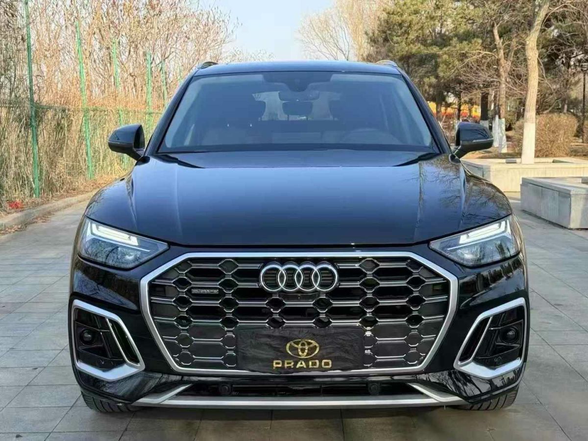 2021年9月奧迪 Sport 奧迪RS Q8  2021款 RS Q8 4.0T