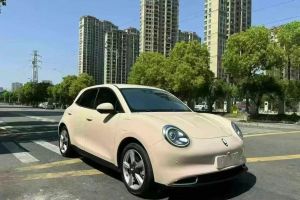 歐拉好貓 歐拉 400km標準續(xù)航 尊貴型 三元鋰