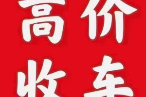 帕薩特 大眾 