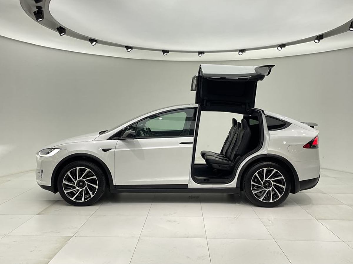 特斯拉 Model X  2019款 長(zhǎng)續(xù)航版圖片