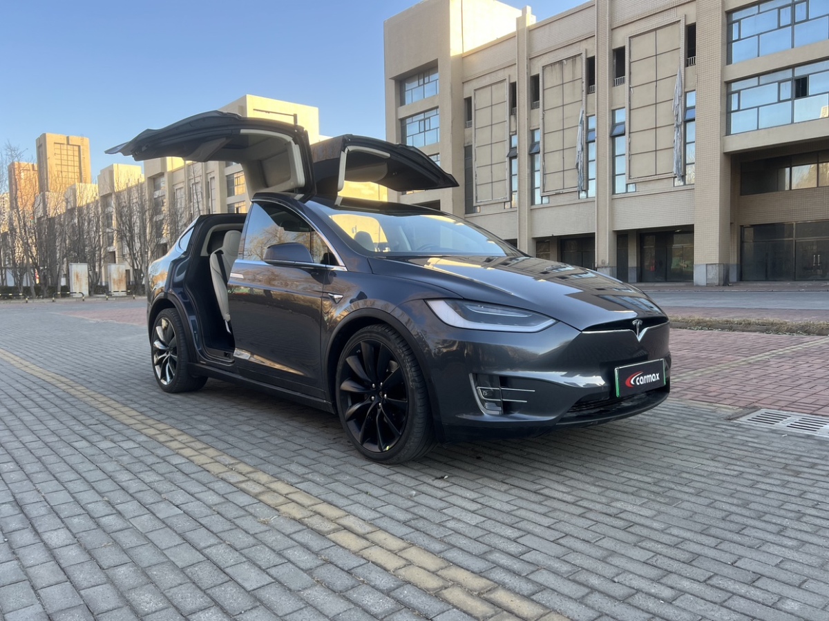 特斯拉 Model X  2019款 標準續(xù)航版圖片