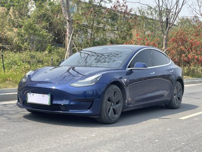 2020年8月 特斯拉 Model 3 標(biāo)準(zhǔn)續(xù)航后驅(qū)升級(jí)版圖片