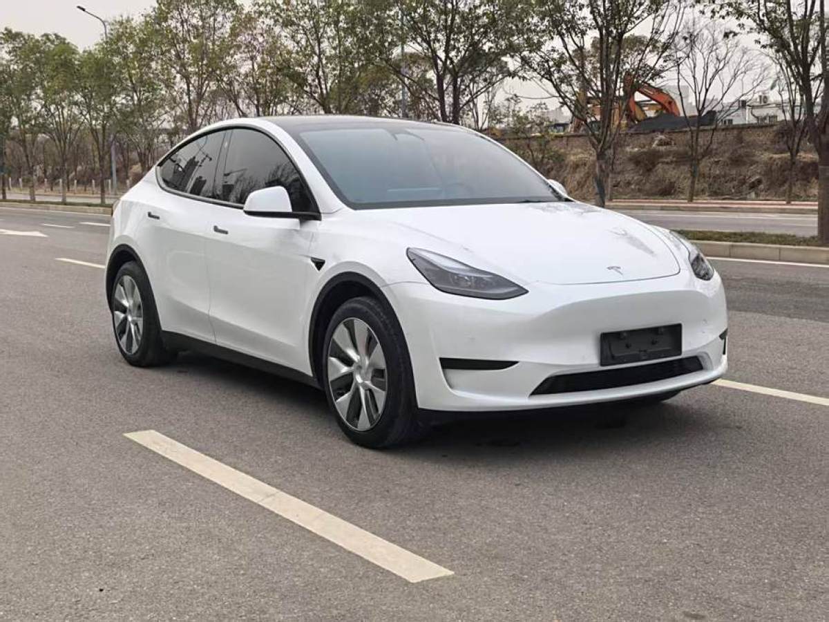 特斯拉 Model 3  2020款 改款 長續(xù)航后輪驅(qū)動版圖片