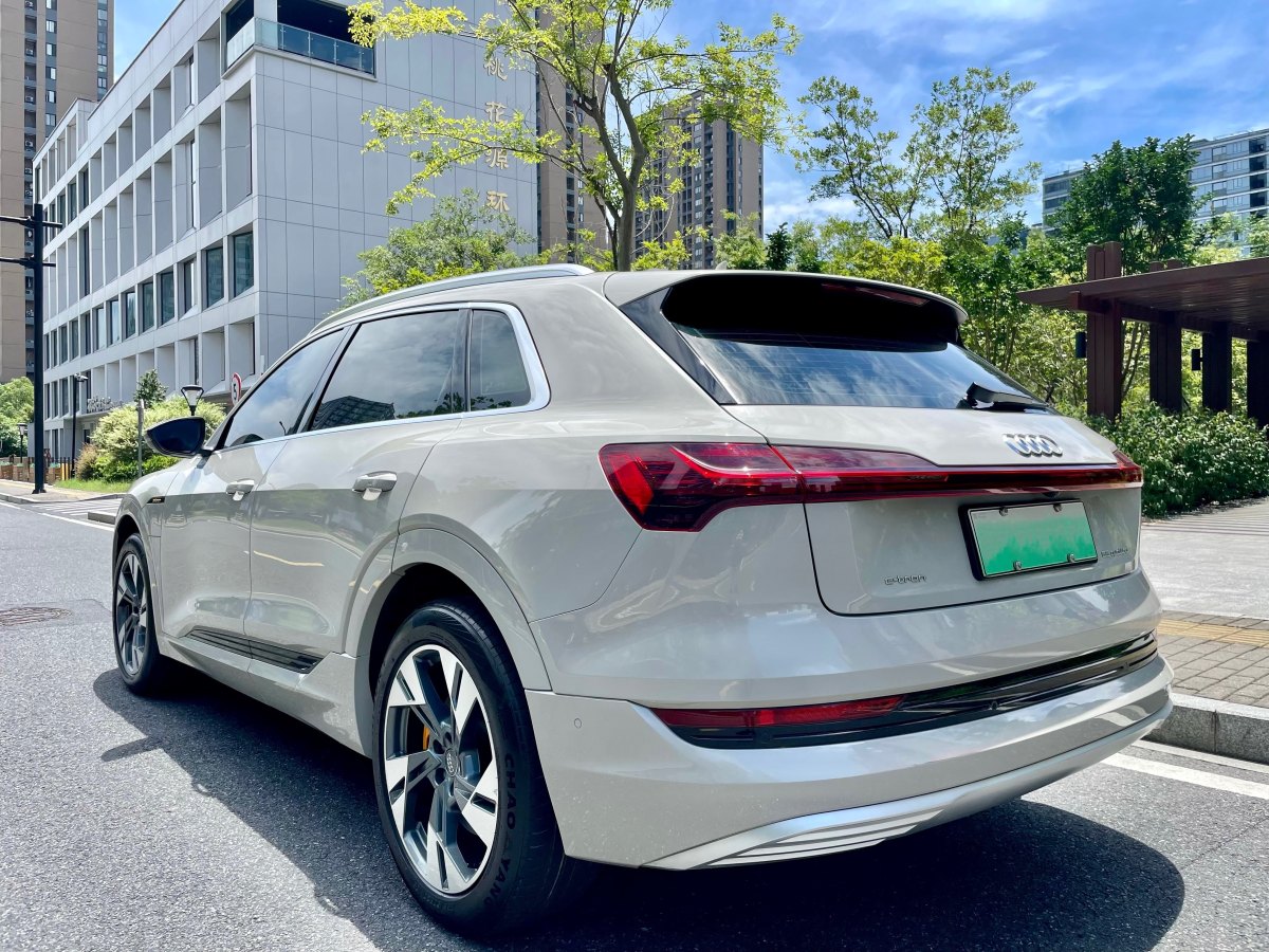 2020年10月奧迪 奧迪Q7新能源  2019款 55 e-tron