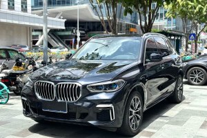 寶馬X5 寶馬 改款 xDrive 30Li 尊享型M運(yùn)動(dòng)套裝