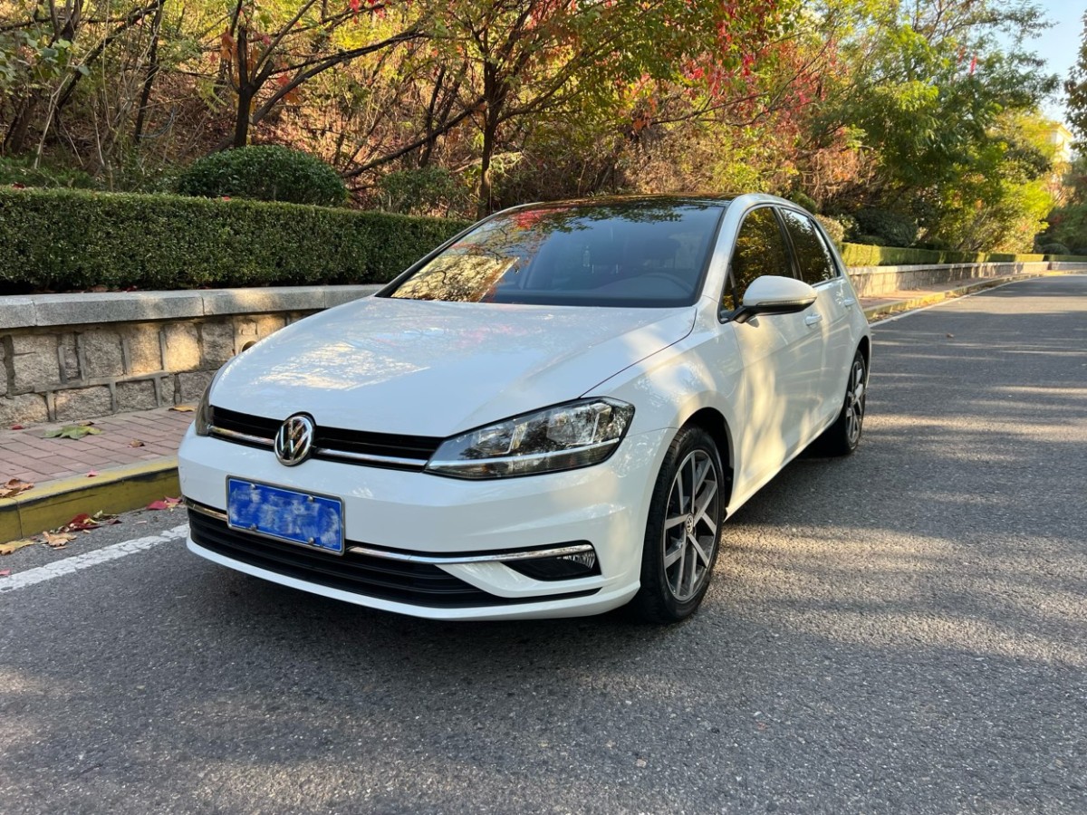 大眾 高爾夫  2020款 摯愛版 280TSI DSG舒適型圖片