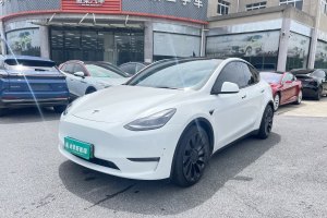 Model 3 特斯拉 Performance高性能全輪驅(qū)動(dòng)版