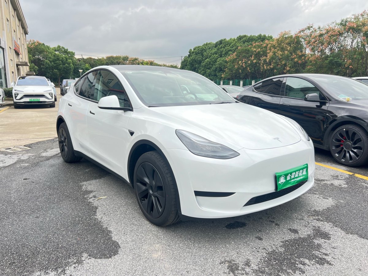 特斯拉 Model 3  2020款 改款 長續(xù)航后輪驅(qū)動版圖片