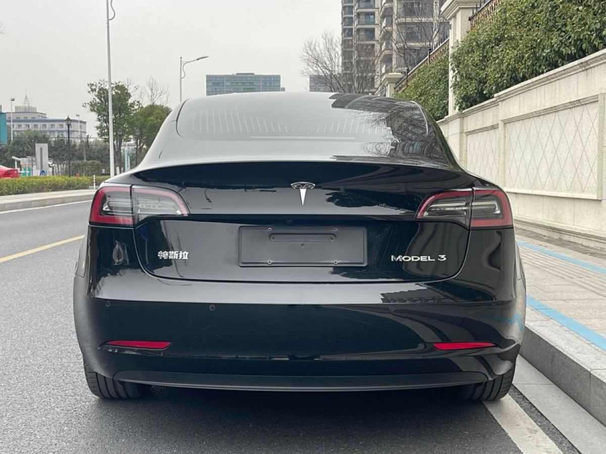 特斯拉 Model 3  2020款 改款 標(biāo)準(zhǔn)續(xù)航后驅(qū)升級版圖片