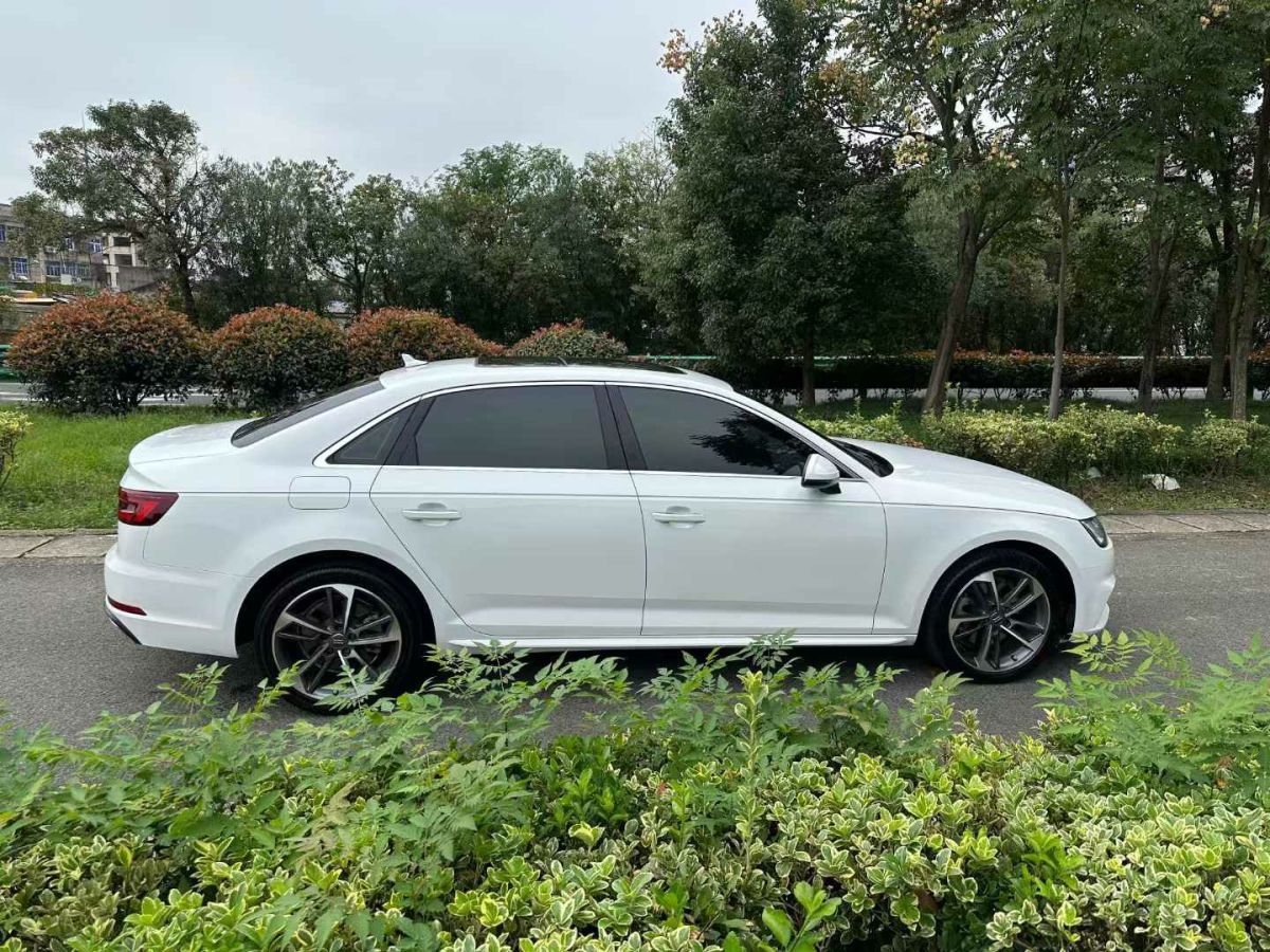 奧迪 奧迪A4L  2019款 35 TFSI 進(jìn)取型 國V圖片