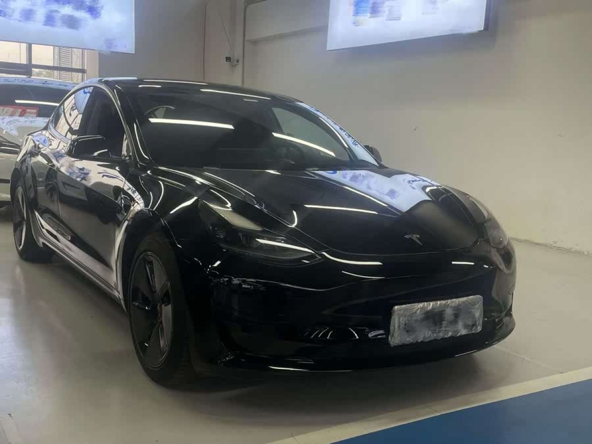 特斯拉 Model 3  2021款 改款 標(biāo)準(zhǔn)續(xù)航后驅(qū)升級(jí)版圖片