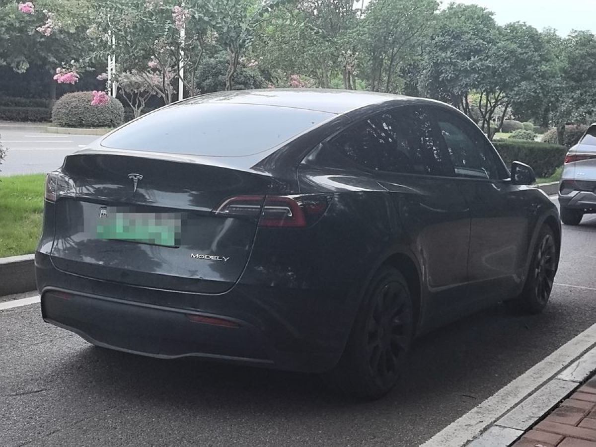 特斯拉 Model 3  2021款 改款 標準續(xù)航后驅(qū)升級版圖片