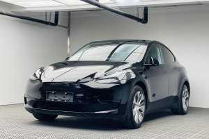 Model Y 特斯拉 改款 标准续航后驱升级版